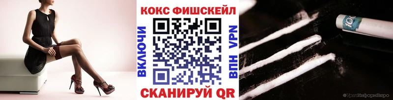 OMG зеркало  Торопец  КОКАИН Эквадор 